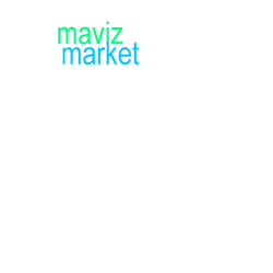 فروشگاه اینترنتی مویزمارکت